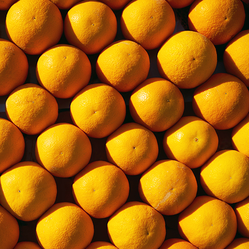 arance-prodotti-agrumi-speciali.jpg